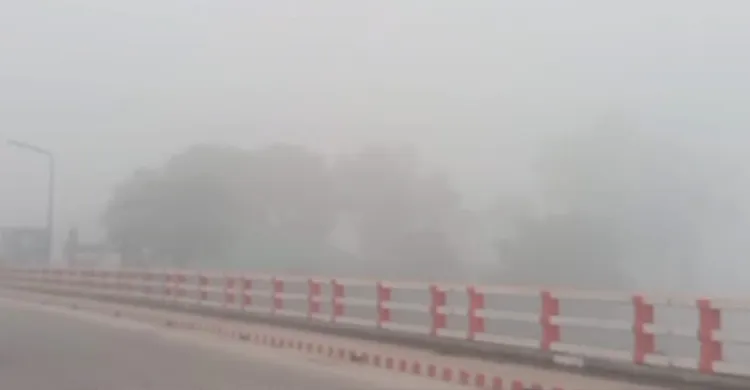 কুয়াশায় মোড়া পঞ্চগড়, জানালায় কড়া নাড়ছে শীত