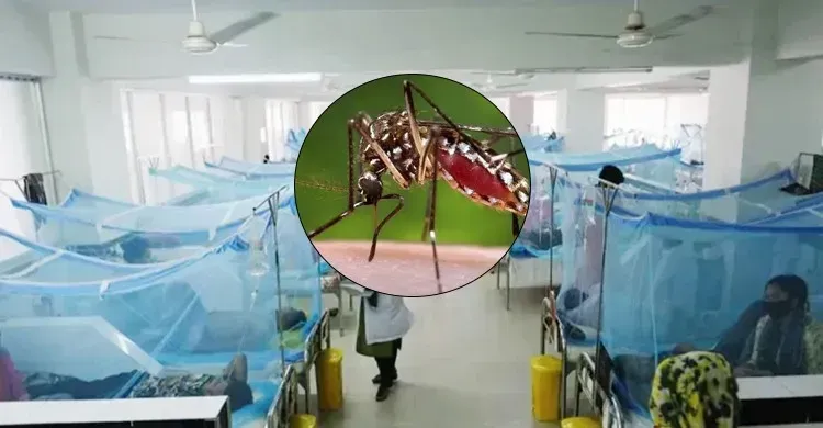 ডেঙ্গুতে আরও ৪ জনের মৃত্যু, নতুন করে আক্রান্ত ৭৫৮ জন