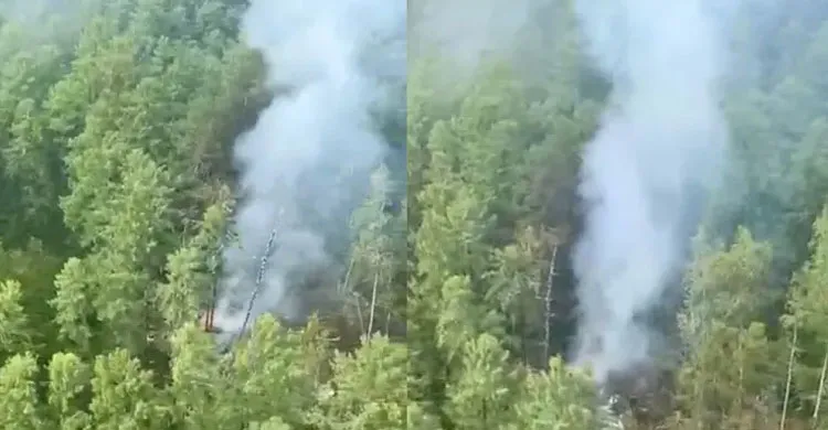 মিশিগানের জঙ্গলে বিমান বিধ্বস্ত, নিহত সবাই