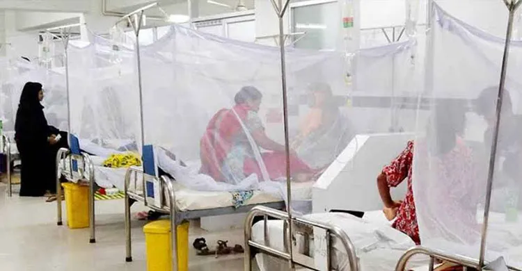 ডেঙ্গুতে আরও ৪ জনের মৃত্যু, একদিনে নতুন আক্রান্ত ৯৪২