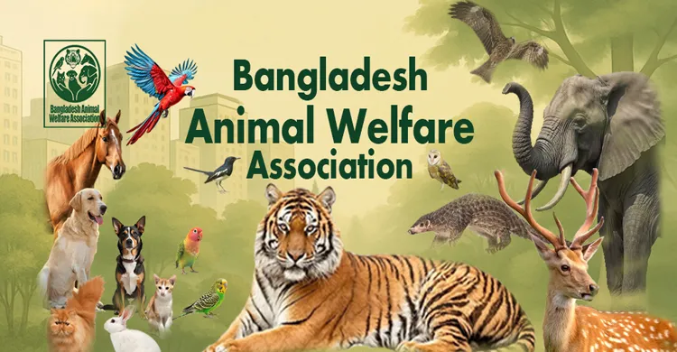 সেন্ট মার্টিনে অভুক্ত প্রাণীদের খাদ্য বিতরণ ও অসুস্থ ঘোড়াদের চিকিৎসা কর্মসূচি