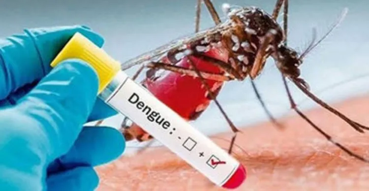 সারাদেশে ডেঙ্গুতে মৃতের সংখ্যা ২৫৩, এক দিনে নতুন আক্রান্ত ৮১৪ জন