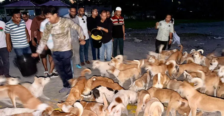 সেন্ট মার্টিনে অভুক্ত প্রাণীর পাশে বাংলাদেশ অ্যানিমেল ওয়েলফেয়ার অ্যাসোসিয়েশন