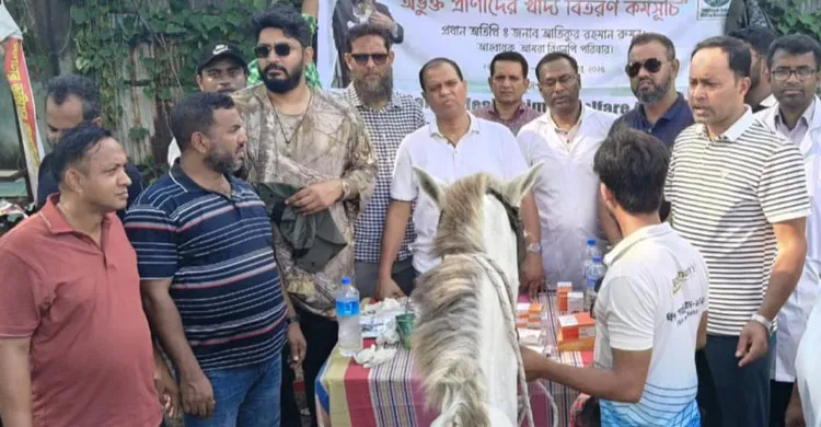 কক্সবাজারে অসুস্থ ঘোড়াদের চিকিৎসা করেছে বাংলাদেশ অ্যানিমেল ওয়েলফেয়ার অ্যাসোসিয়েশন