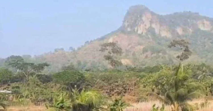 টেকনাফের পাহাড়ে জিম্মি থাকা ৪৪ নারী-শিশু উদ্ধার