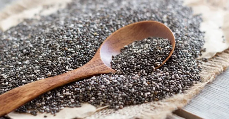 চিয়া সিড সবার জন্য নয়: যাদের খাওয়া উচিত নয়, জানুন সম্ভাব্য ঝুঁকি