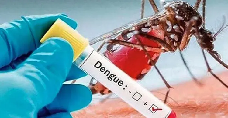 ডেঙ্গুতে আরও ৪ মৃত্যু, হাসপাতালে ভর্তি ১ হাজার ৪১ জন