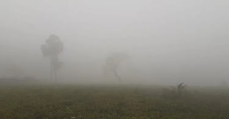 দিনাজপুরে সূর্যহীন আকাশ, শীতের আগমন অনুভূত