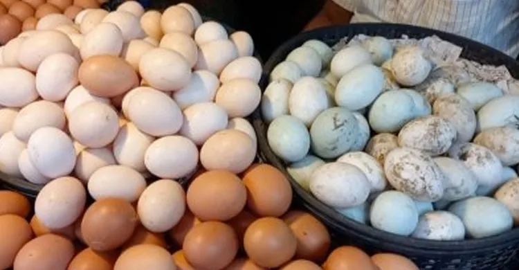 কোন ডিমটি বেশি উপকারী? জানুন বিশেষজ্ঞদের মতামত