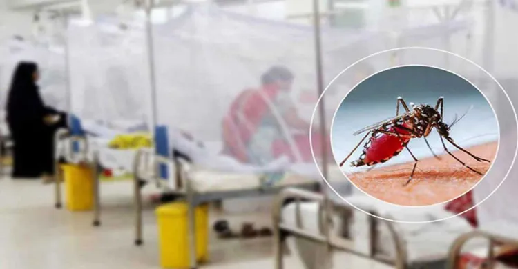 দেশে ডেঙ্গু আক্রান্ত ৭০ হাজার ছাড়িয়েছে