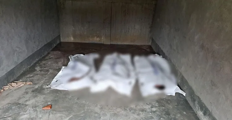 গোবিন্দগঞ্জে গরুচোর সন্দেহে গণপিটুনিতে ৩ জনের মৃত্যু