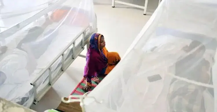 ডেঙ্গুতে আরও ৬ জনের মৃত্যু, হাসপাতালে ভর্তি ১,১৯৫ জন