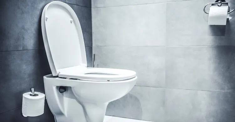 টয়লেট সিট থেকে রোগ সংক্রমণের ঝুঁকি কতটা? জেনে নিন