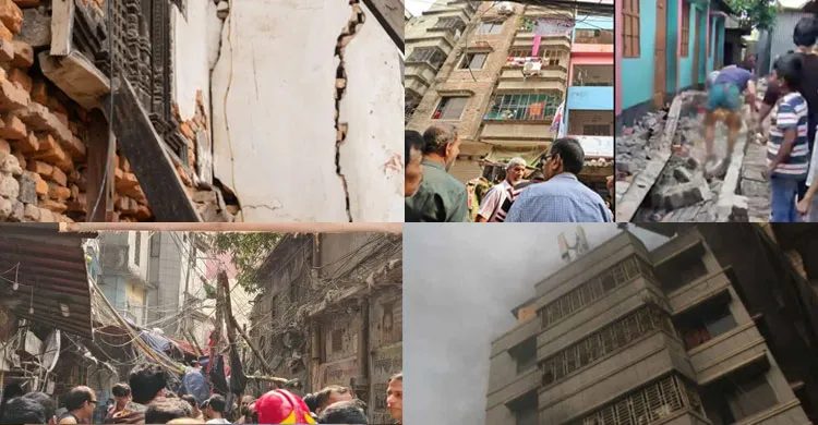 ভূমিকম্পের সময় প্রকৃতিতে ঘটে বিস্ময়কর বহু ঘটনা