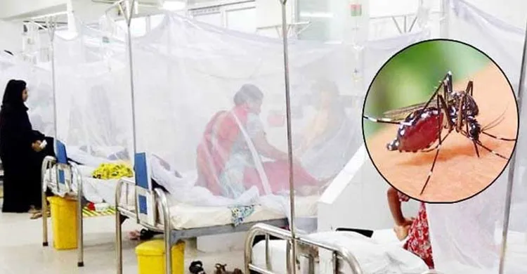 ডেঙ্গুতে আরও ২ জনের মৃত্যু, নতুন ভর্তি ৭০৫ জন