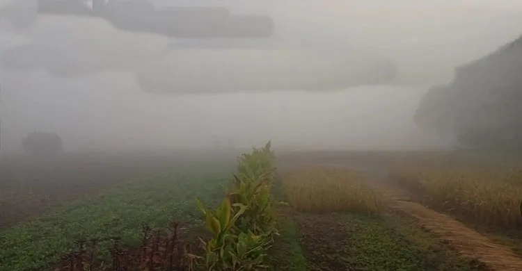 উত্তরাঞ্চলে তীব্র শীত, তেঁতুলিয়ায় সর্বনিম্ন তাপমাত্রা