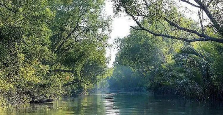 সুন্দরবনে মাটির নিচে মিঠা পানির উৎস শনাক্ত
