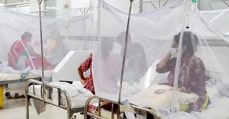 ডেঙ্গুতে একদিনে ৫ জনের মৃত্যু, হাসপাতালে ভর্তি ৪৯০