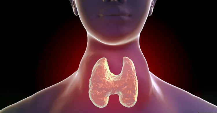 যে ৬টি লক্ষণ থাইরয়েড সমস্যার ইঙ্গিত দিতে পারে