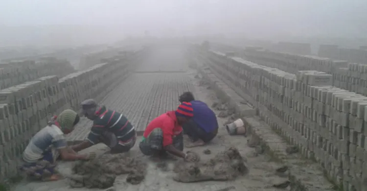 ছবিঃ সংগৃহীত