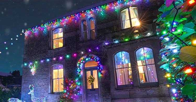 বড়দিন ও থার্টি ফার্স্ট নাইটে পুলিশের বিশেষ নিরাপত্তা ব্যবস্থা