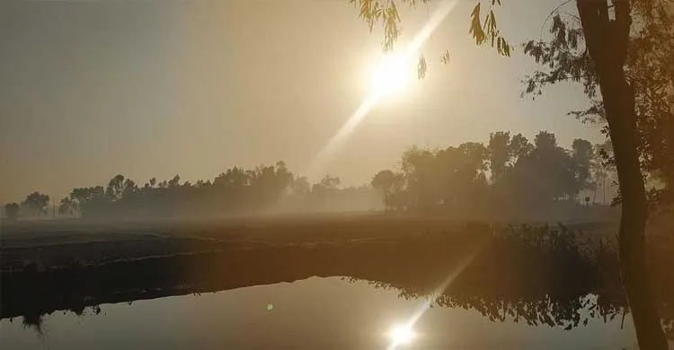 ছবিঃ সংগৃহীত