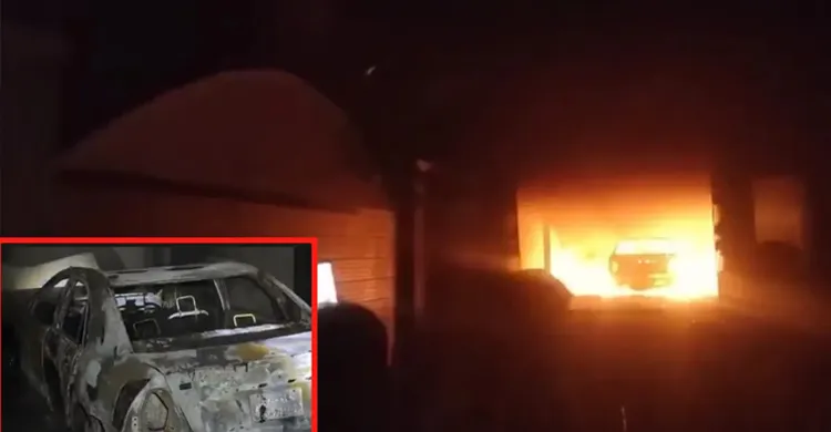 ছবিঃ সংগৃহীত