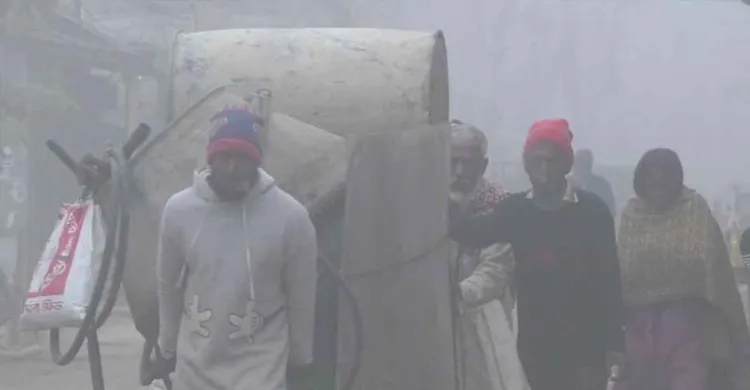 দেখা নেই সূর্যের, কুয়াশা ও হিমেল হাওয়ায় কাঁপছে নওগাঁ