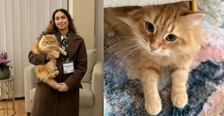 ছবিঃ সংগৃহীত