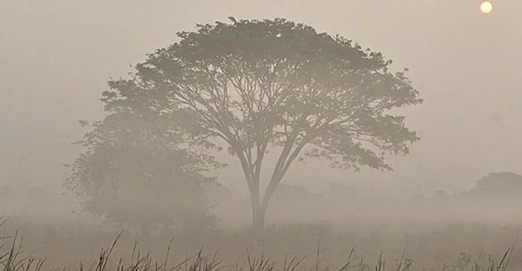 আরো পাঁচটি শৈত্যপ্রবাহ আসছে,  তাপমাত্রা নামতে পারে ৪ ডিগ্রির নিচে