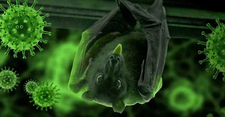 ছবিঃ সংগৃহীত