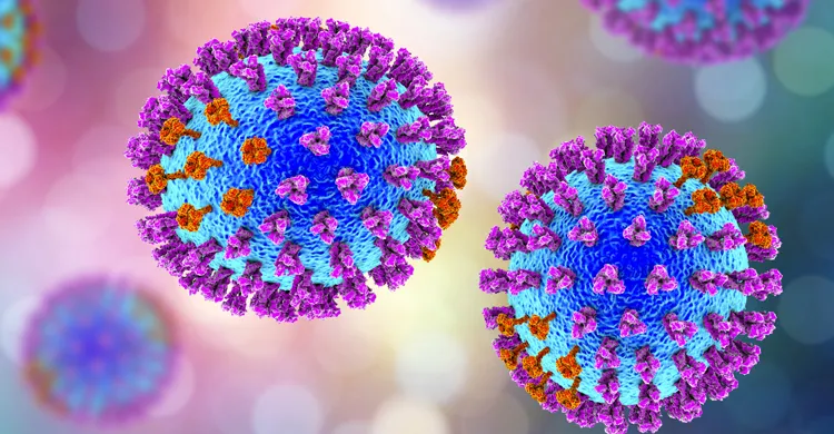 ছবিঃ সংগৃহীত