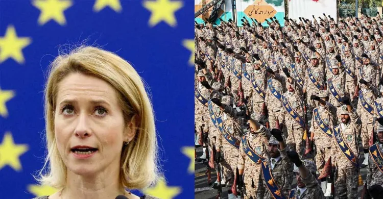 ছবিঃ সংগৃহীত