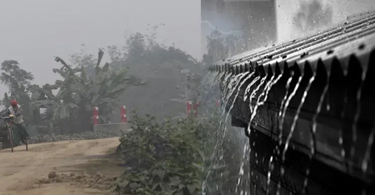 ছবিঃ সংগৃহীত