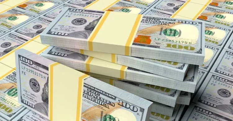 ছবিঃ সংগৃহীত