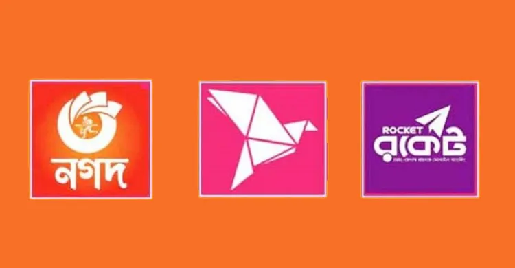 ছবিঃ সংগৃহীত