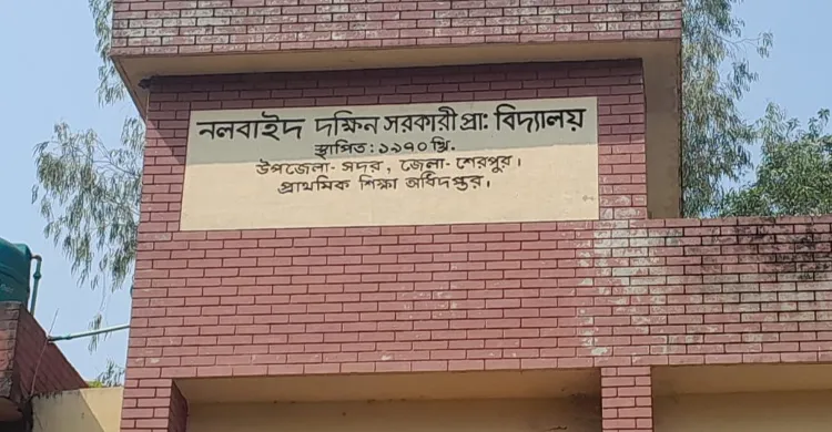 শেরপুরে সিল দেওয়া শতাধিক ব্যালট উদ্ধার, আটক ২