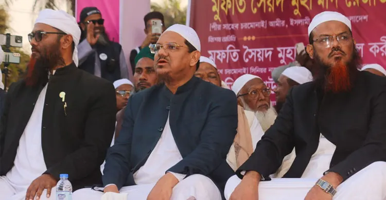 চরমোনাই পীরের তিন ভাইয়ের পরাজয়, এক আসনে হাতপাখার জয়