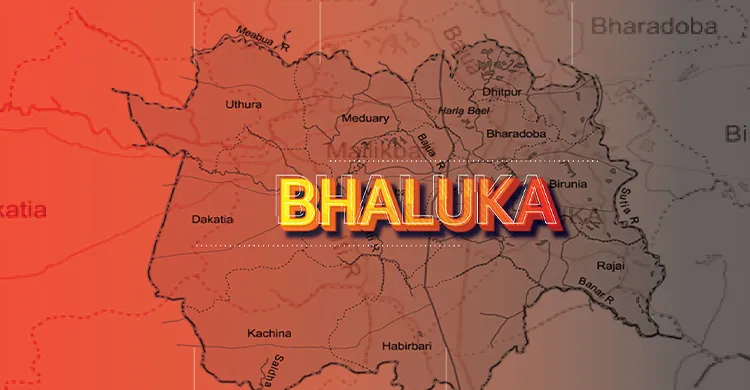 কিশোর গ্যাং ও মাদকের আতঙ্কে ভালুকা: এমপির হস্তক্ষেপ দাবি