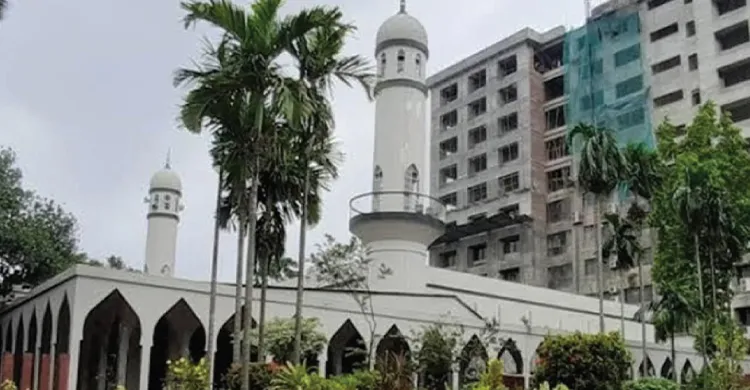 ছবিঃ সংগৃহীত