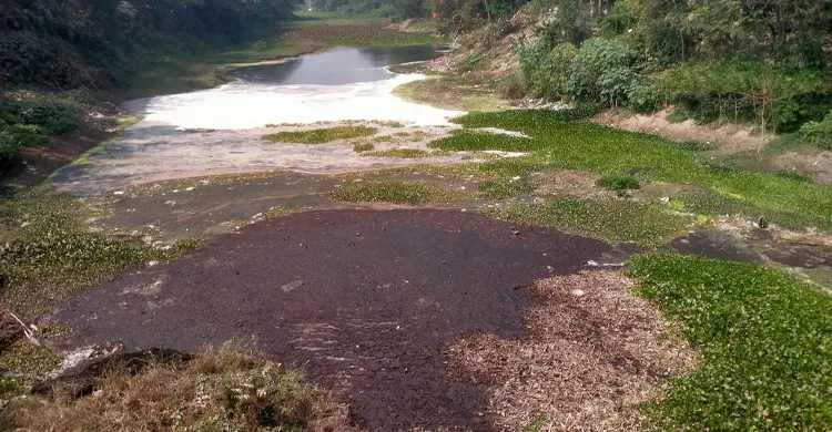 ধামরাইয়ে শিল্প কারখানার বর্জ্যে গাজিখালী নদীর পানির এখন বিষাক্ত