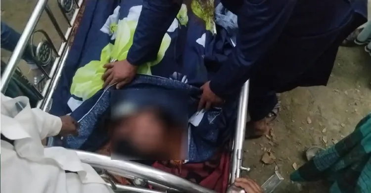 ছবিঃ সংগৃহীত