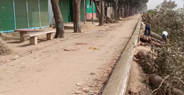 ব্যক্তিগত গাড়ি চলার জন্য ২০ গাছ কাটায় মিঠামইন উপজেলা বিএনপি সভাপতির পদ স্থগিত