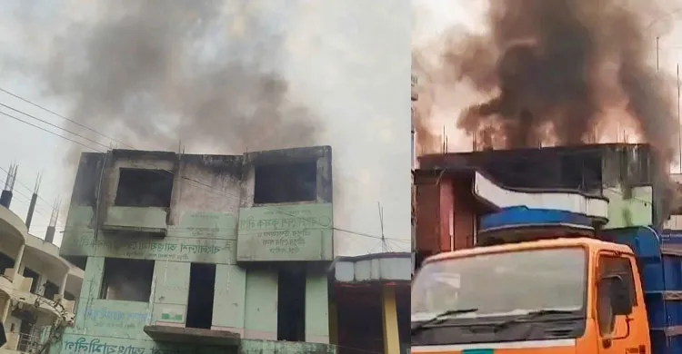 ছবিঃ সংগৃহীত