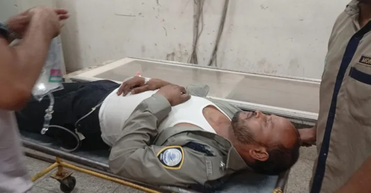 ছবিঃ সংগৃহীত