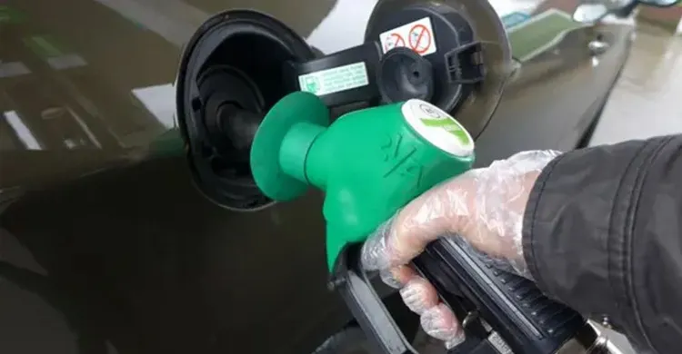 ছবিঃ সংগৃহীত