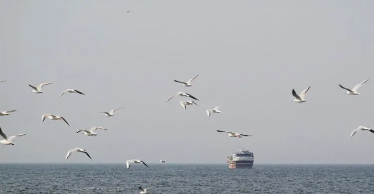 হরমুজ প্রণালী খোলা, তবে সবার জন্য নয় : ইরান