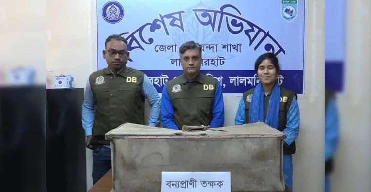 ছবিঃ সংগৃহীত