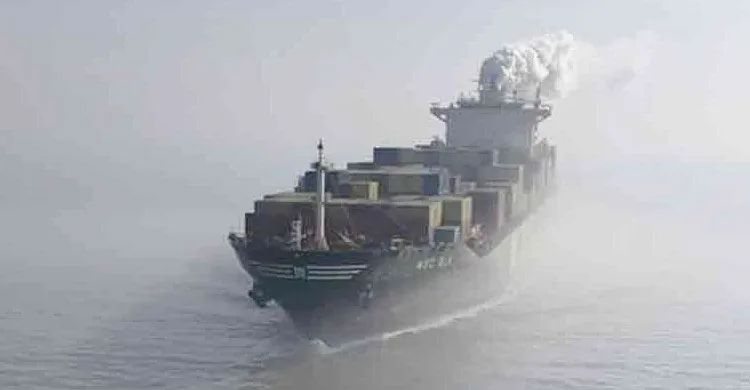 ছবিঃ সংগৃহীত