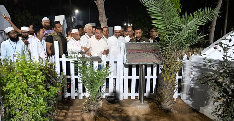 ছবিঃ সংগৃহীত